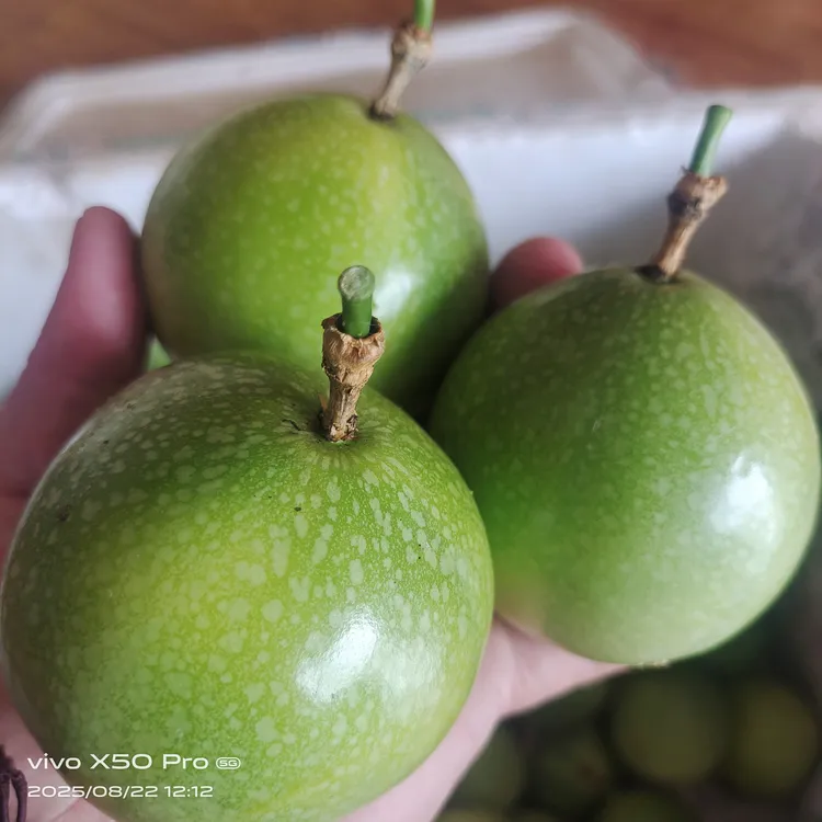 高山钦蜜九号百香果钦蜜9号9号还原食物本味
