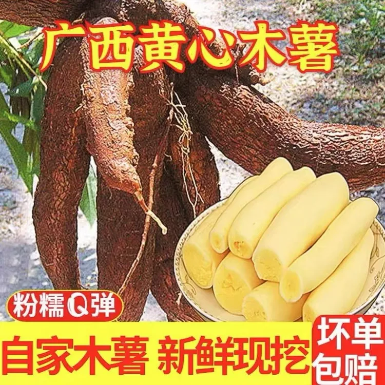 黄肉木薯糖水店同款黄肉木薯羹软糯粉面包木薯Q弹蛋黄木薯华南9号