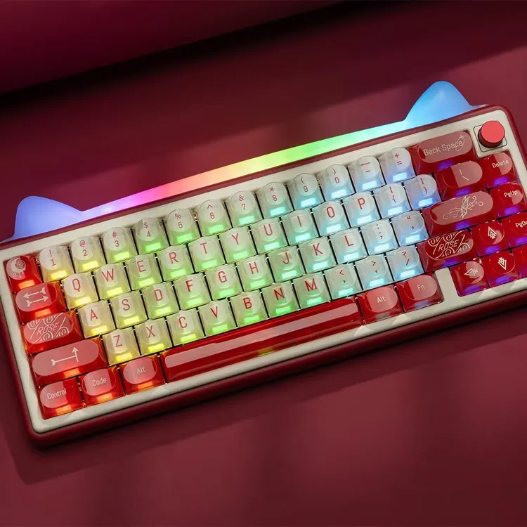 旺有引力 WENYOOYINLOO二代升级款Paw65三模热插拔 RGB灯光