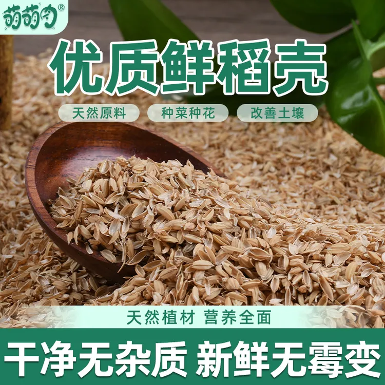 鲜稻壳园艺花卉种菜通用型透气有机肥宠物垫料芦丁鸡窝料酒曲谷壳