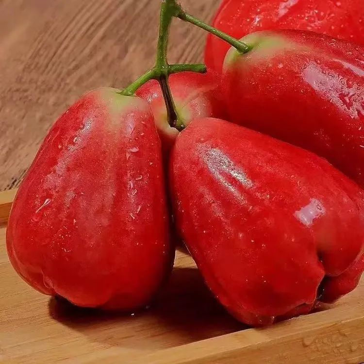 海南莲雾果新鲜水果红宝石当季连雾洋蒲桃黑金刚现摘整箱送礼水果