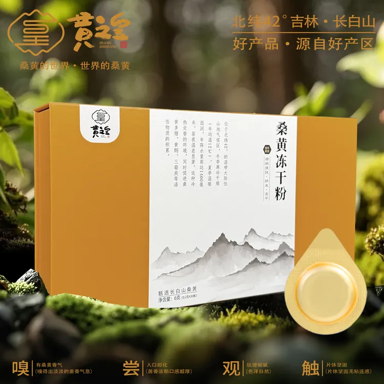 黄之皇长白山道地好材料 桑黄冻干粉 健康食品一秒吸收
