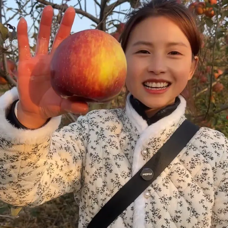 威宁高山冰糖心丑苹果新鲜现摘当季脆甜多汁原产地水果