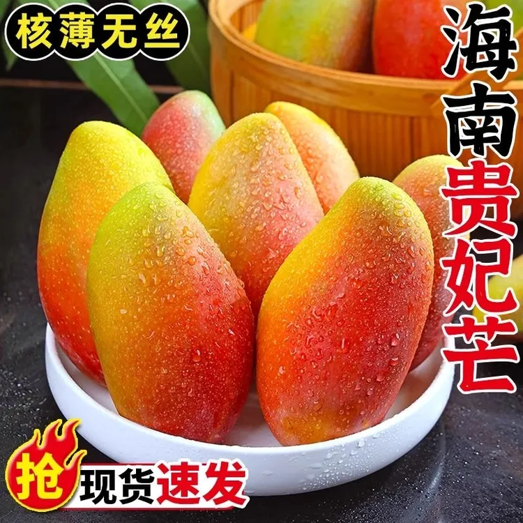 【放熟吃】海南贵妃芒果新鲜水果红金龙芒整箱5斤大果 新鲜现摘K