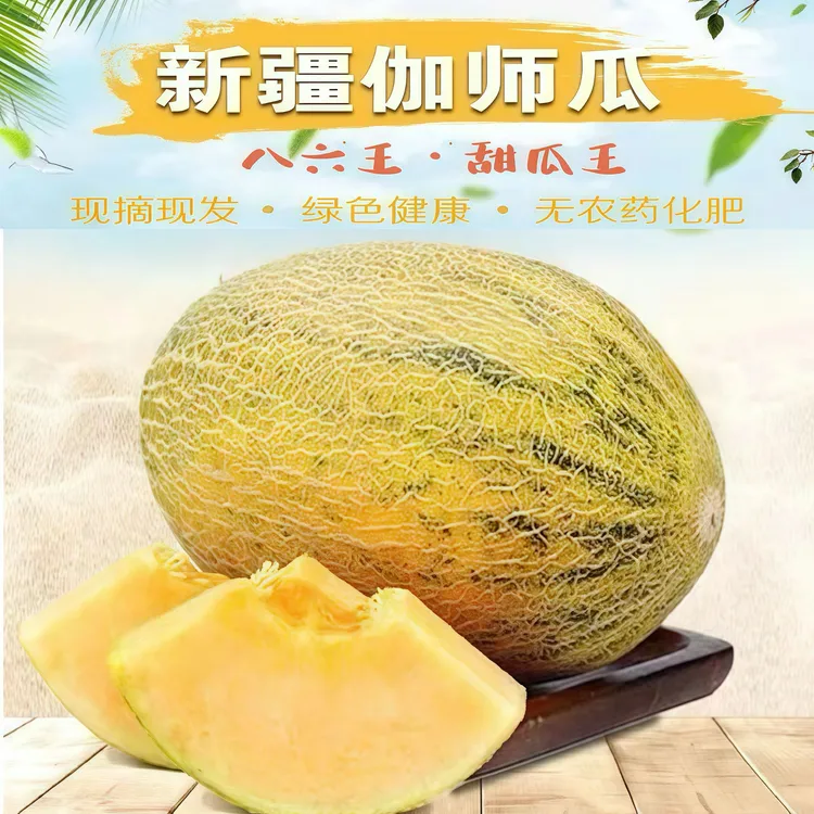 【空运】新疆直发正宗八六王伽师瓜新鲜应季水果爆甜多汁新疆哈密瓜