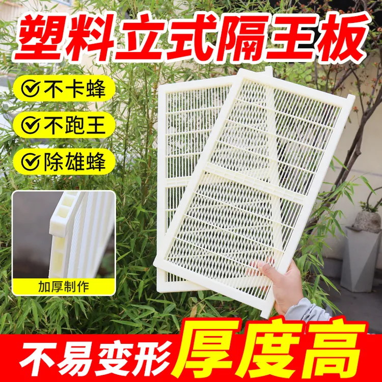 中蜂隔王板立式隔王珊蜂箱畜牧工具蜂王防逃隔皇器蜜蜂隔王片养蜂