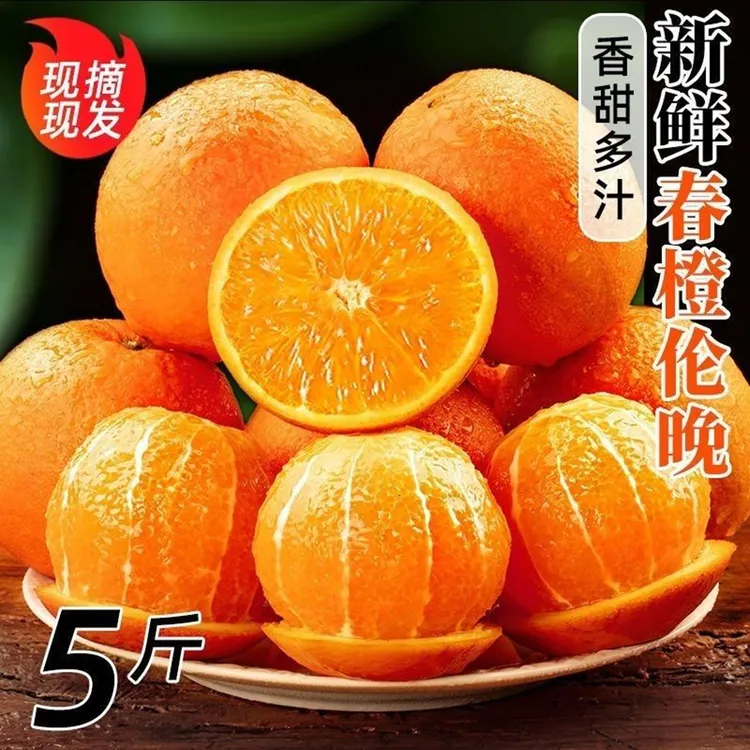 【香甜多汁】伦晚脐橙5斤装包邮农家山地种植