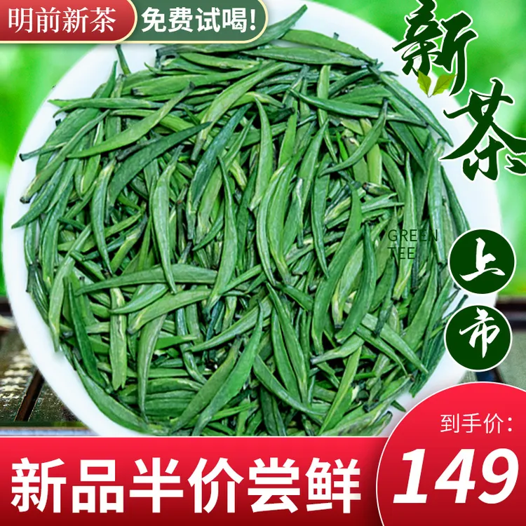 2025新茶雀舌明前新茶绿茶毛尖云雾嫩芽清香型湄潭雀舌毛尖绿茶