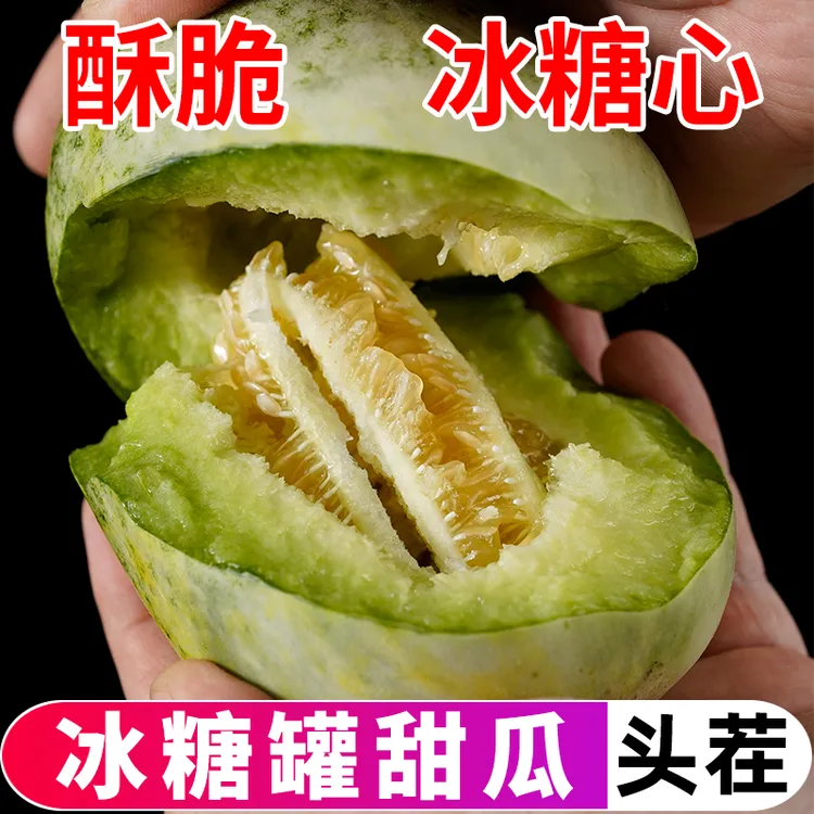 【冰糖罐甜瓜】山东头茬冰糖罐甜瓜蜜糖罐金冠甜瓜新鲜直供香甜