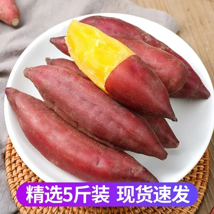 【中果】现挖小香薯粉糯香甜沙地种植农家自种宝宝辅食孕妈