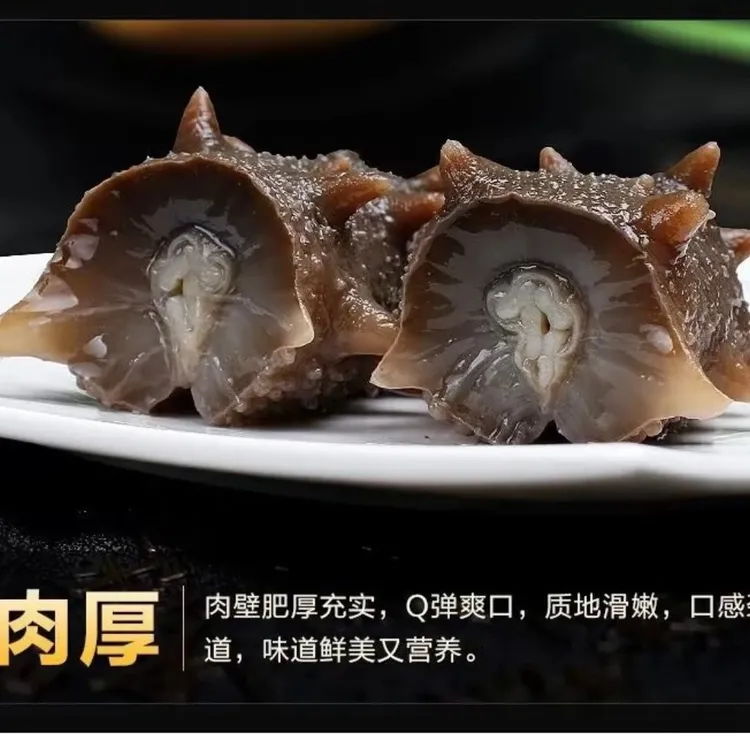 ［红岛赵超精选］顺丰发货大连鲜食海参小海参小头数（一斤16-18头）