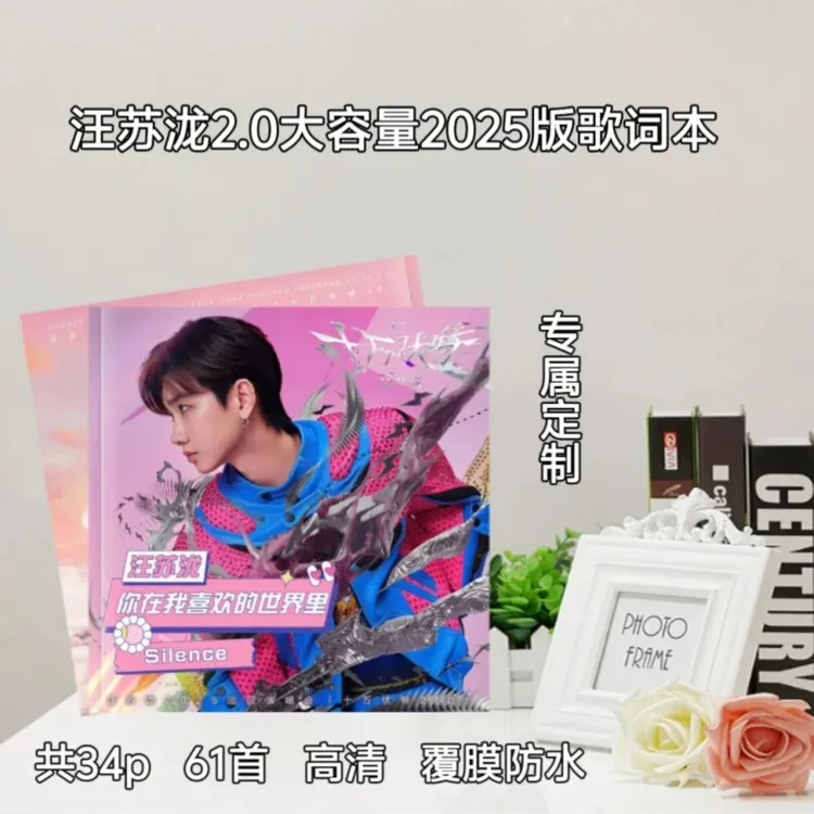 汪苏泷演唱会歌词本/周边收藏