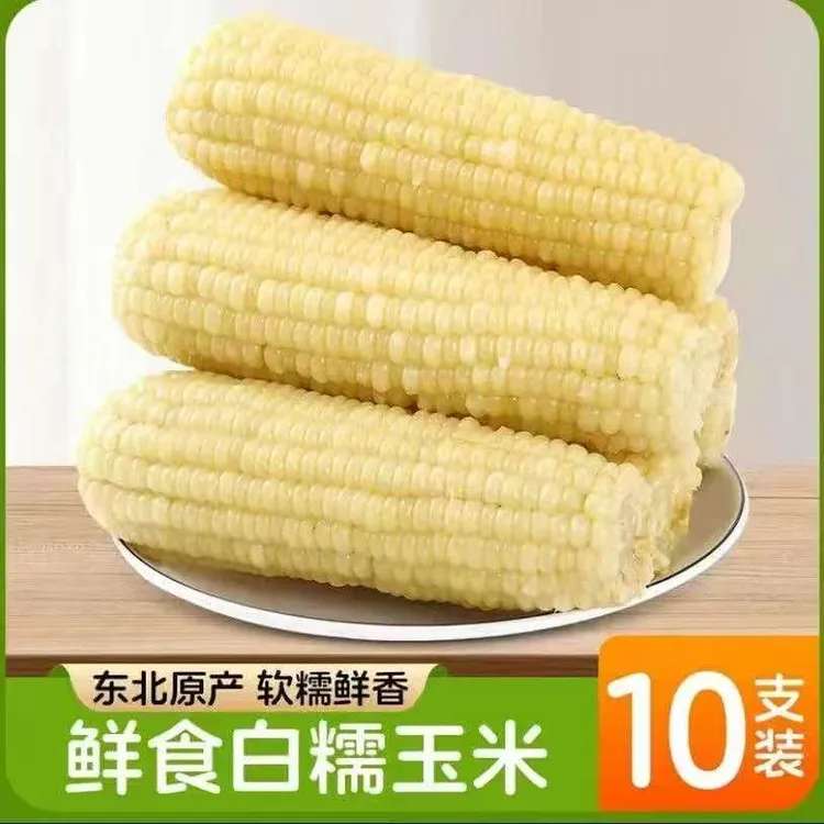 【试吃2根】东北白糯玉米5-5.5斤香糯清甜粘软真空包装粗粮早餐JBC