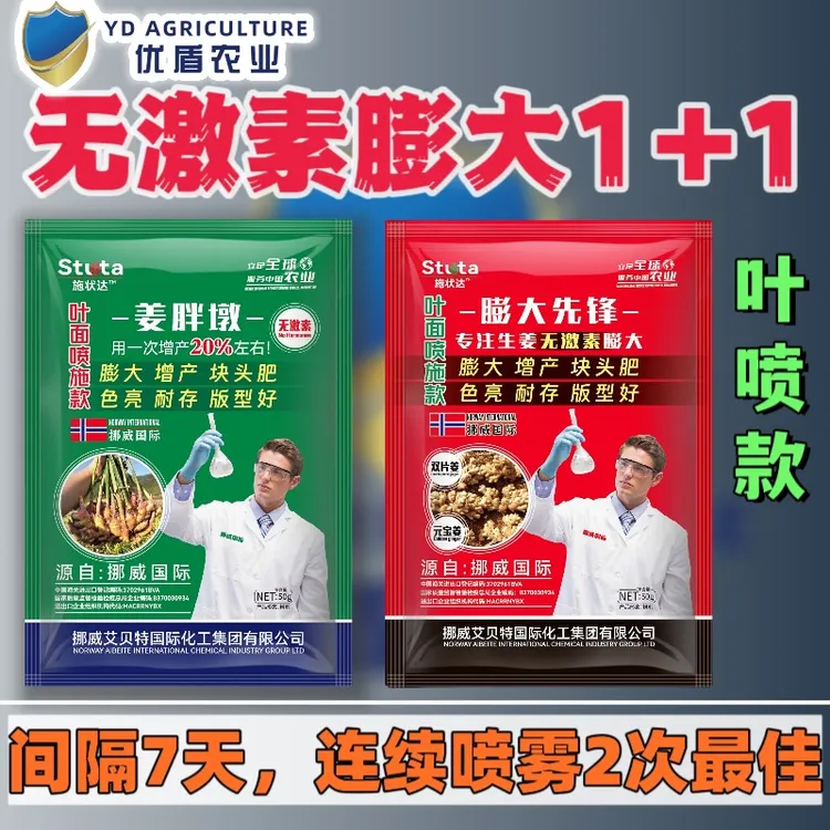 生姜增产生姜膨大配方生姜块茎增大膨大生姜膨大增产生姜控旺膨大