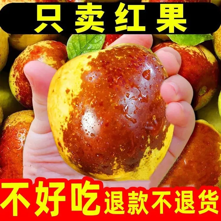 农腾万象山西庙上精品冰糖冬枣脆甜新鲜冬枣当季水果