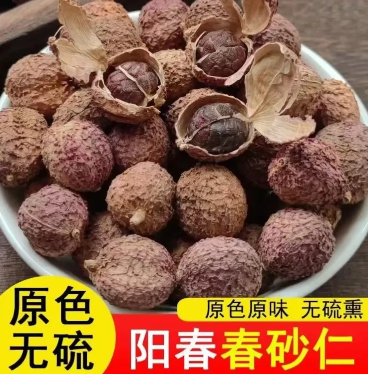 正宗广东特产春砂仁~可煲汤 蒸肉 泡水 泡蜂蜜 泡酒的 干果特级