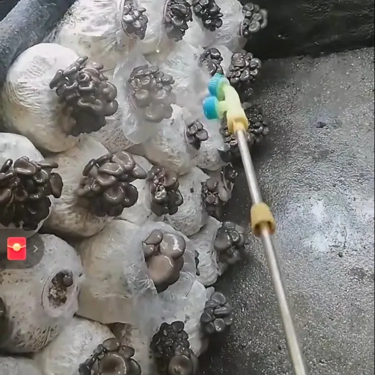 套装是三瓶猎尽2和菇床净1出菇用的平菇叶面肥