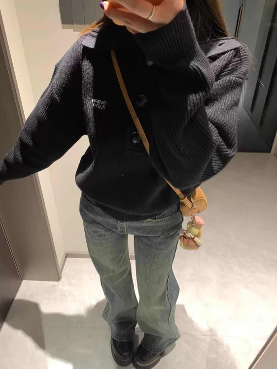 慵懒风美式刺绣字母针织衫上衣女秋冬新款高级感小个子翻领毛衣潮