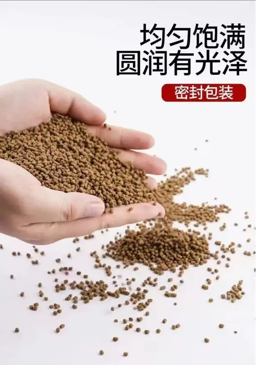 高蛋白蝴蝶鲤鱼粮增白增体上浮通用观赏饲料小金鱼颗粒