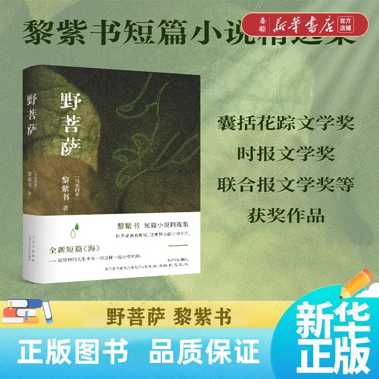 【新华书店正版】野菩萨 黎紫书