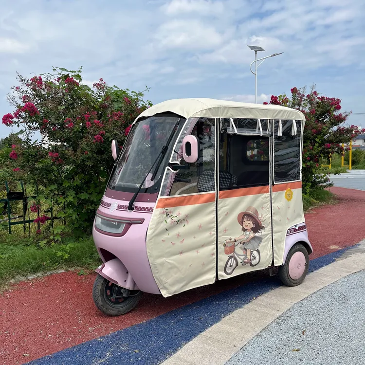 金彭雨棚小鸟q6步步先艾美达三轮车棚原装雨帘防风加厚防晒带网纱