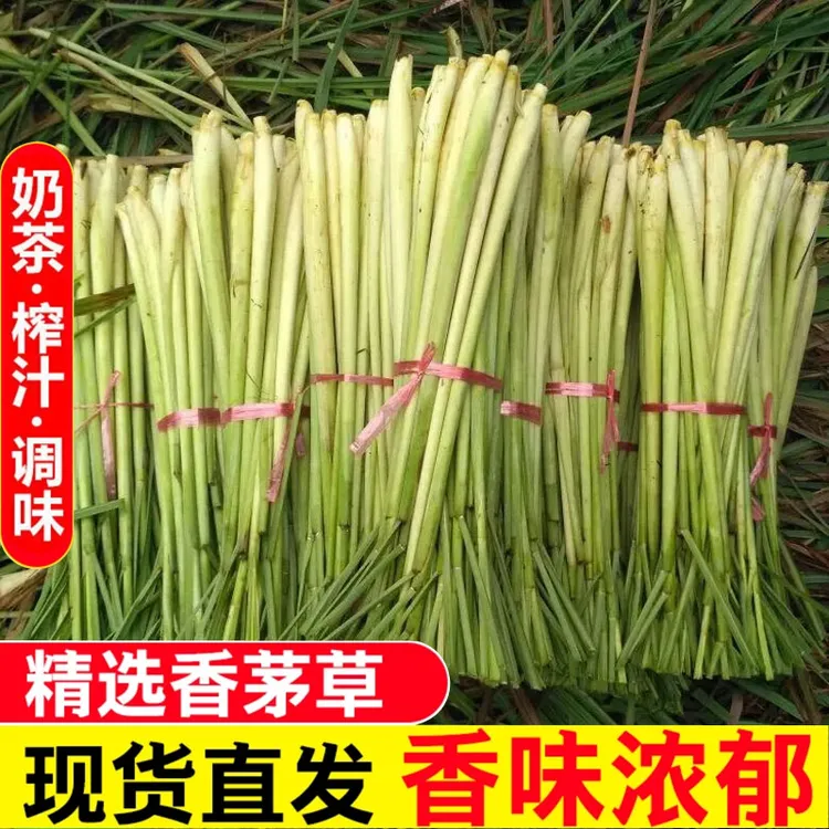 新鲜香茅草柠檬草泰国冬阴功汤料奶茶店榨汁调料水果茶香料包邮