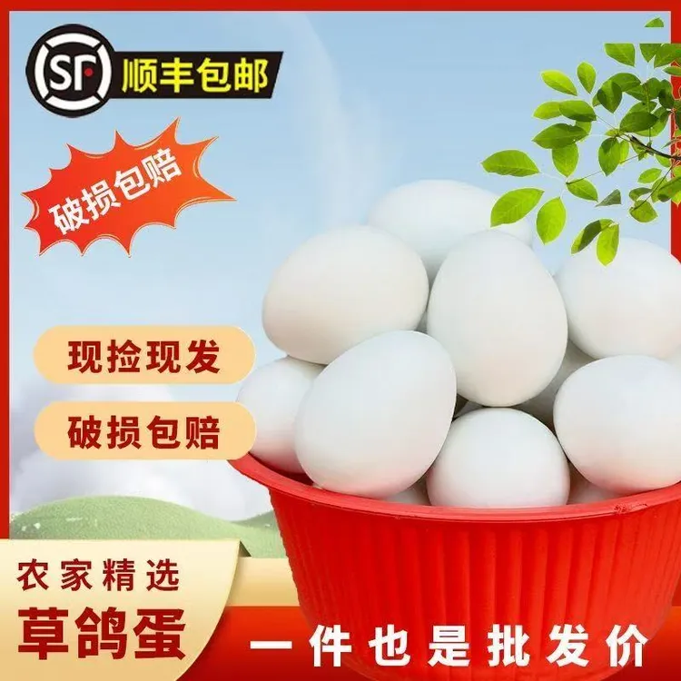 30个新鲜鸽子蛋农户孕妇宝宝辅食顺丰包邮24小时发货坏了包赔