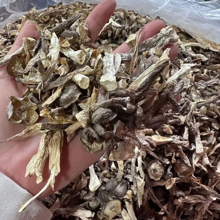 脆脆菇鹿茸菇碎煲肉炖汤家用炒菜菌菇干货
