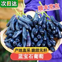 现货明日达【基地直采】LF四川大凉山蓝宝石葡萄新鲜当季水果金手指无籽黑提0.5-4斤云南省