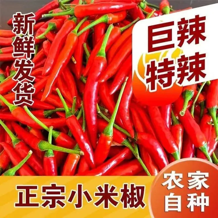 云南小米辣椒新鲜现摘现发特辣小米椒朝天椒超辣红辣椒指天椒尖椒
