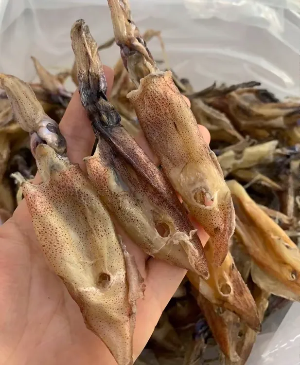 电白船晒鱿鱼筒鱿鱼干海产品干货味道鲜美爽脆可炒煮焖煎