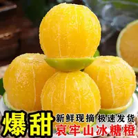 正宗云南哀牢山青皮冰糖橙新鲜应季水果现摘现发皮薄多汁清甜