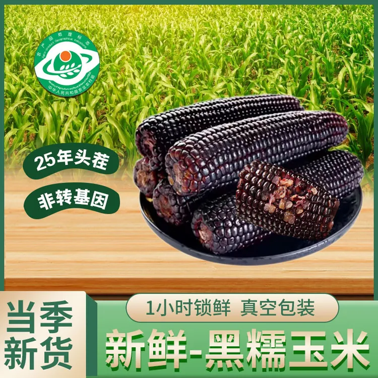 25年头茬黑糯玉米新鲜 甜糯玉米苞米220g*10根