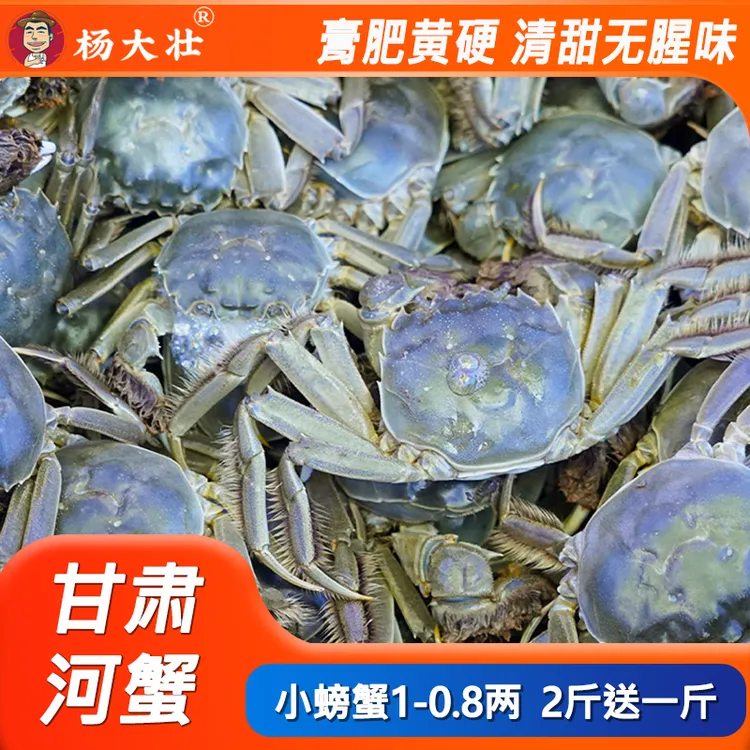 【两斤送一斤】甘肃活蟹公母混装母蟹1.1-0.8两公蟹1.3-1.1两活蟹膏肥黄硬清甜
