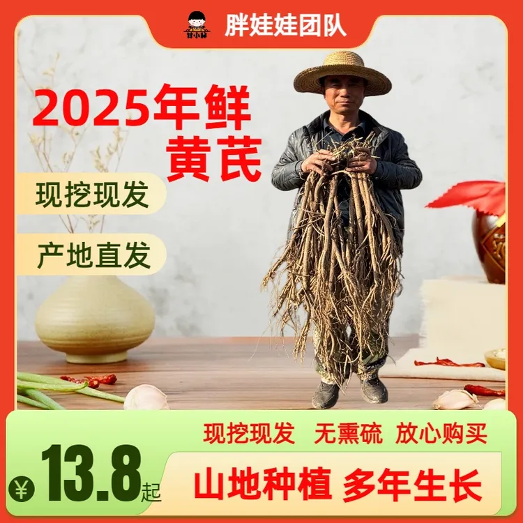 甘肃陇西原产地新鲜黄芪可煲汤炖肉泡水滋补养生现挖现发产地直发