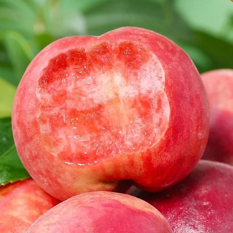 正宗山东春雪水蜜桃血丝蜜桃新鲜采摘脆甜软糯多汁应季水果特产