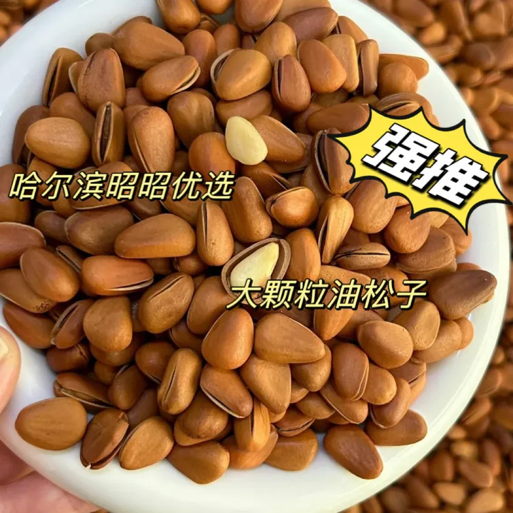 【李昭昭】2025新松子800特大颗粒