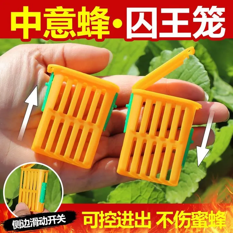 塑料蜜蜂王笼囚王盒中意蜂通用多功能可调节关介王器新款养蜂工具