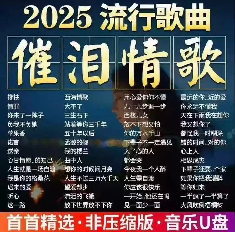 网络伤感情歌2025音乐车载U盘抖音伤感流行情歌曲无损高音质mp3