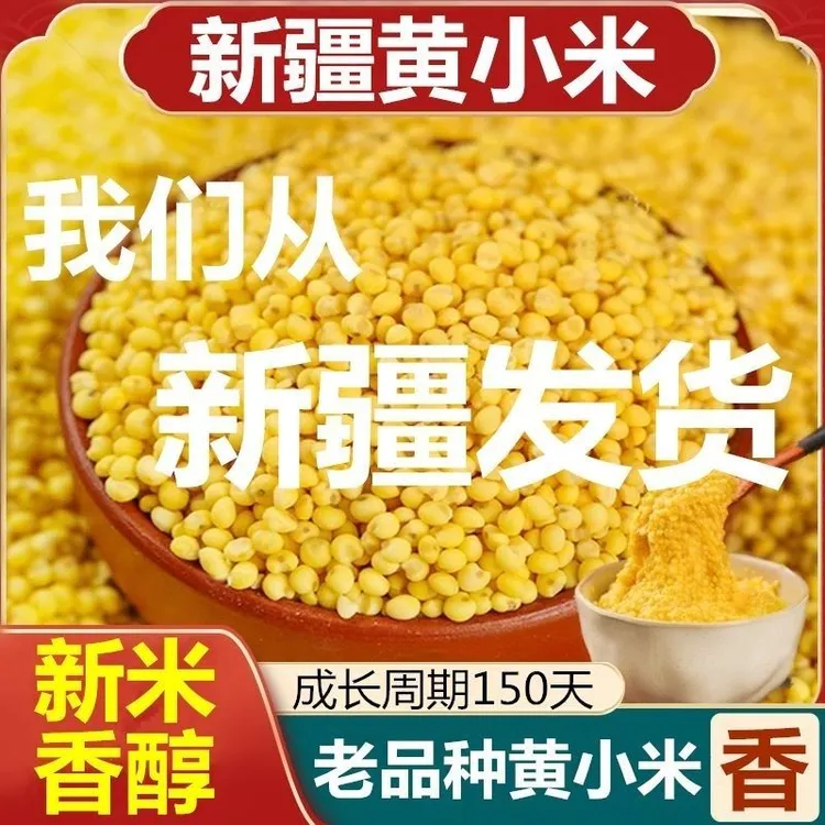【新疆发货】正宗新疆沙漠小米含硒新米颗颗金黄香醇小米批发
