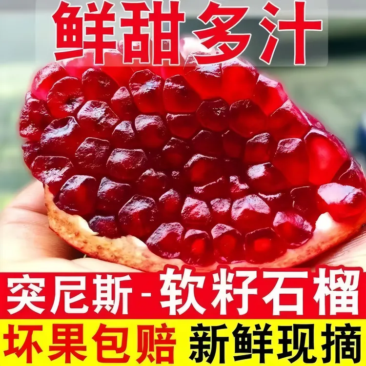 产地直采会理突尼斯软籽石榴颗颗饱满似红宝石会理石榴