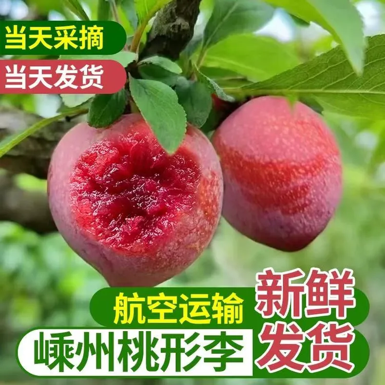 正宗嵊州桃形李7月时令新鲜现摘脆甜浙江红心李子5斤大果孕妇佳品