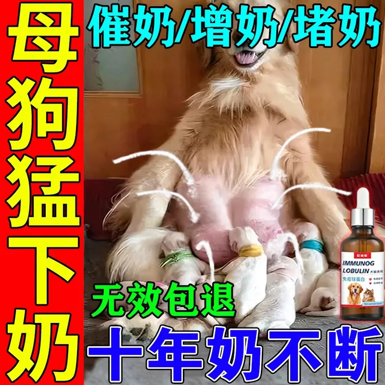 母狗产后营养品狗狗月子餐哺乳期追奶增奶催乳下奶食物狗狗下奶汤