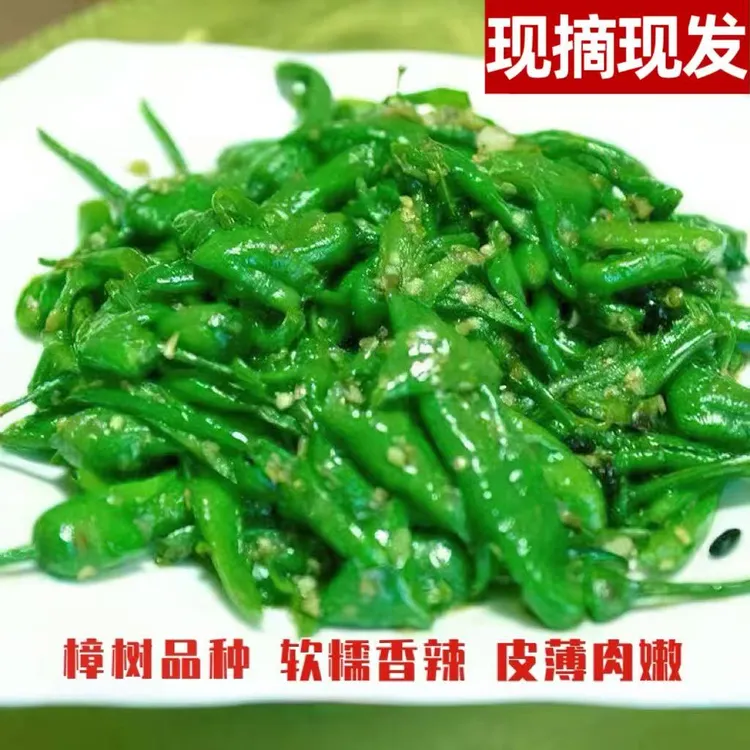 【微辣】樟树薄皮辣椒新鲜富晒辣椒现摘现发新鲜农家香辣青辣椒