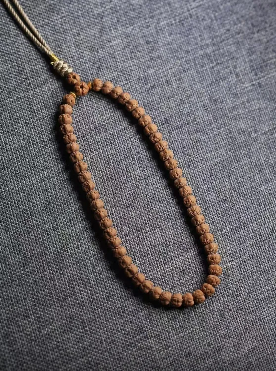 五爪金龙佛手旗舰款手持