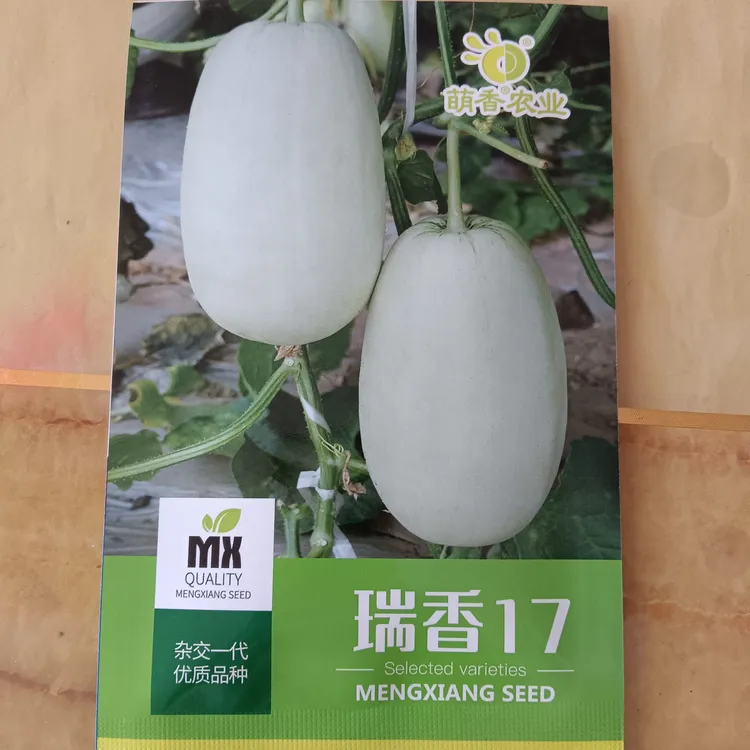 瑞香17薄皮甜瓜早熟品种酥脆甜香耐裂抗逆性好糖度高更新换代品种
