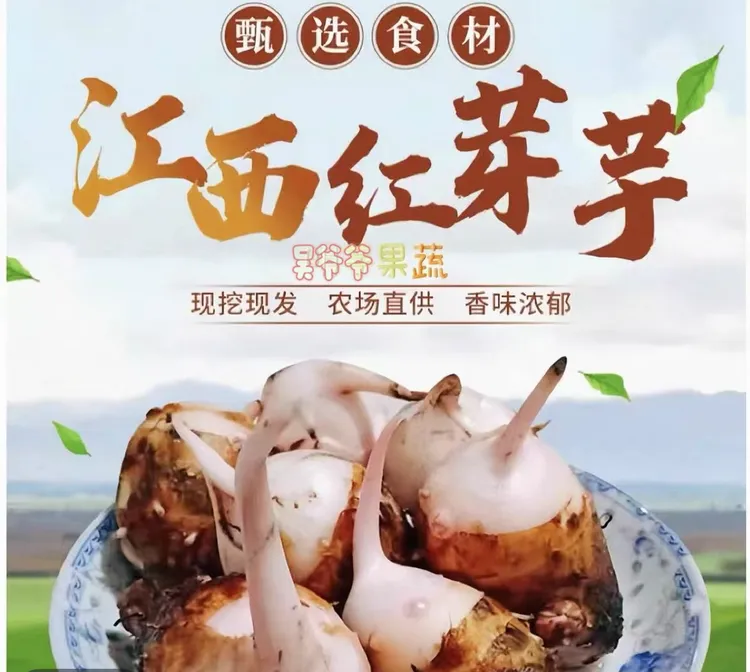 2025江西铅山红芽芋紫溪农家自种现挖现发头茬 软弱香甜牛奶芋