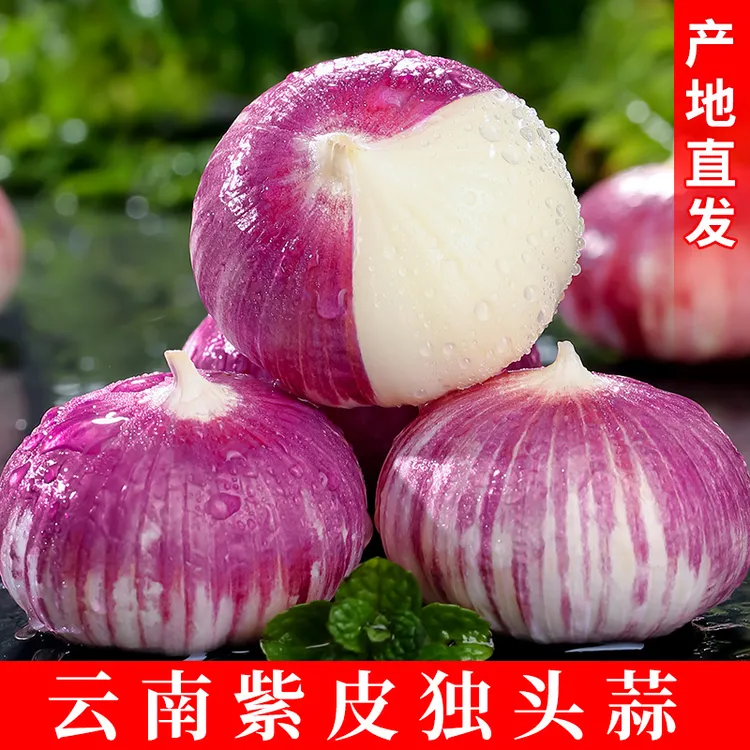 云南紫皮独头蒜新鲜大蒜农家种植蔬菜辛辣湿大蒜头整箱包邮