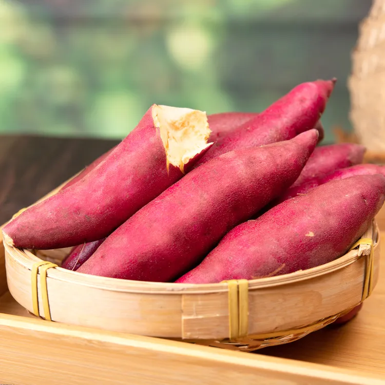 小香薯沙地香甜迷你板栗红薯