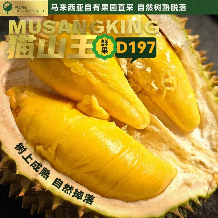 （鲜果）树上黄金猫山王自然树熟D197马来西亚进口鲜榴莲顺丰发货